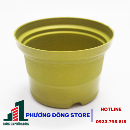 Chậu trồng 10B